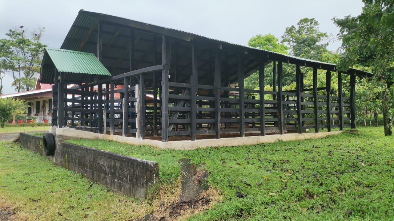 Finca Ganadera de 8ha y 4.800 m2