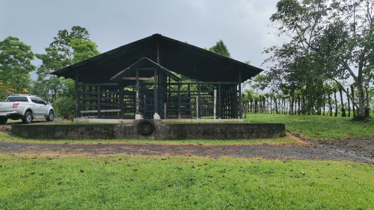 Finca Ganadera de 8ha y 4.800 m2 - Foto 2