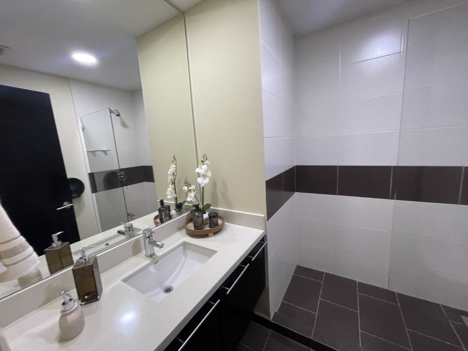 Apartamento tipo Penthouse, Totalmente amoblado - Foto 14