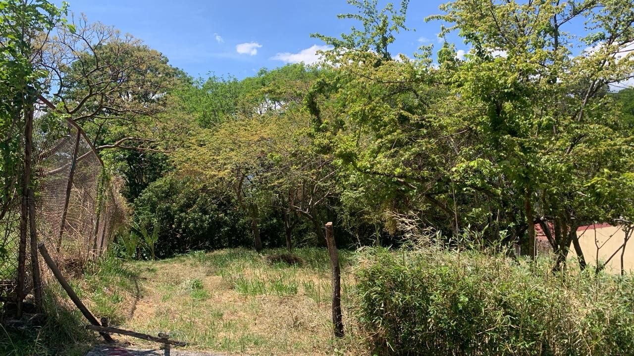 Lote en Venta para proyecto de 7 apartamentos - Foto 3